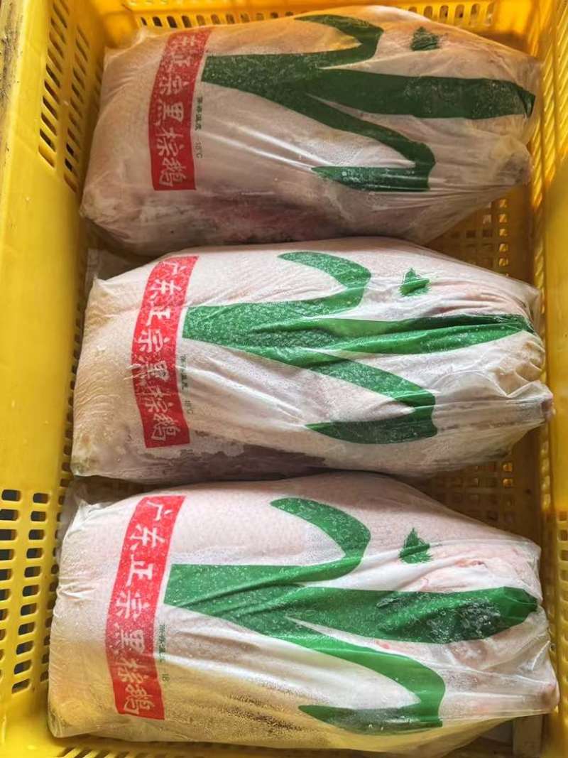 广东清远鹅，各个价格都有，价格实惠，一手货源欢迎咨询
