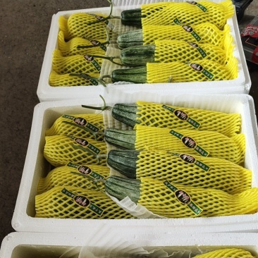羊角蜜甜瓜，潍坊羊角蜜甜瓜，脆甜多汁，产地大量有货。