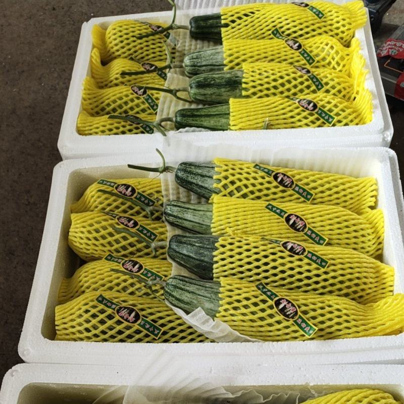 羊角蜜甜瓜，潍坊羊角蜜甜瓜，脆甜多汁，产地大量有货。