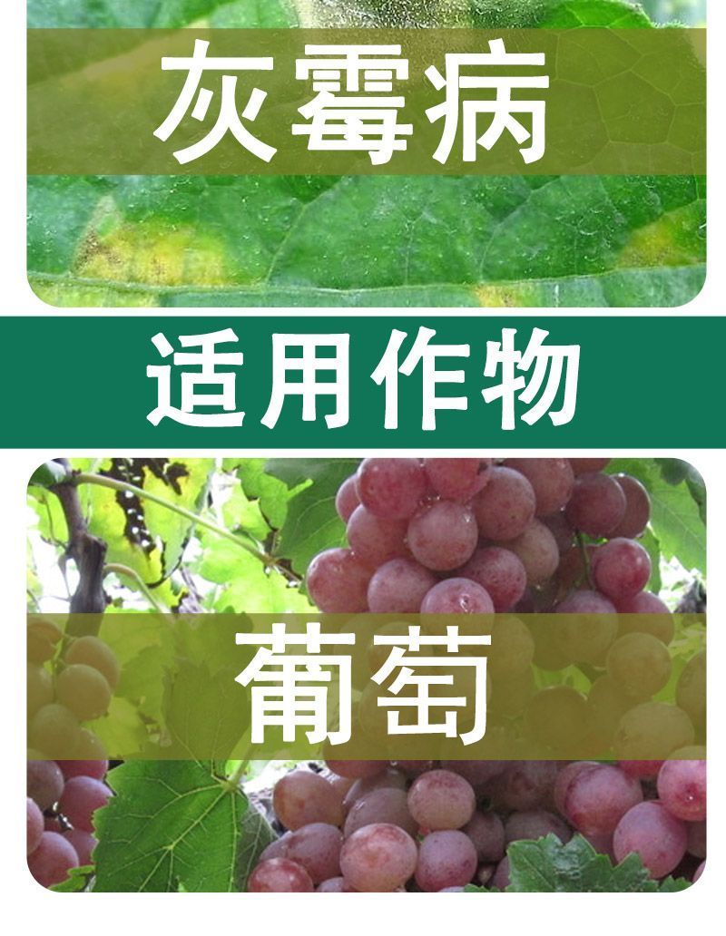 鑫星38%唑醚啶酰菌胺吡唑醚菌酯啶酰菌胺葡萄灰霉病杀菌剂