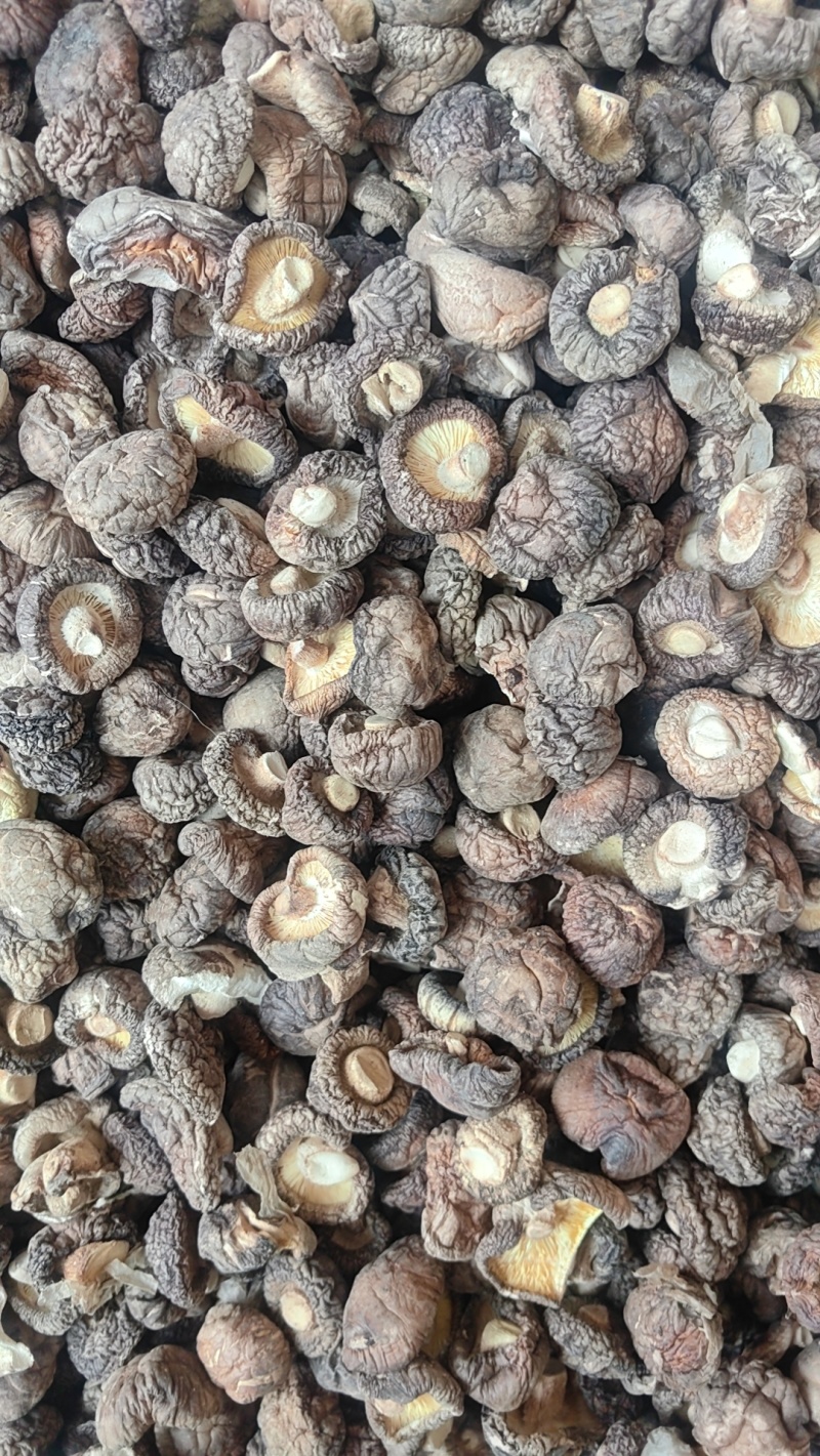 干香菇，香菇碎片，电商专用，精品香菇，产区量大，全年供货