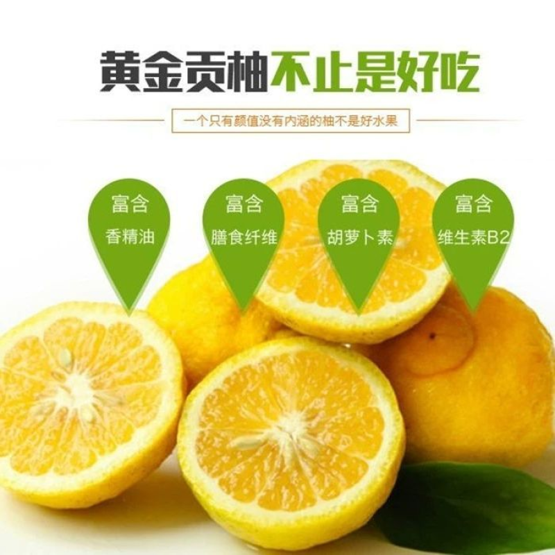 黄金贡柚春香桔柚湖南雪峰山一件代发