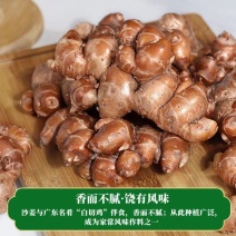 广东沙姜，货源充足，品质保证，诚信经营。