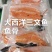 特价处理各类杂鱼各类边角料冷冻深海鱼类宠物食品饲料