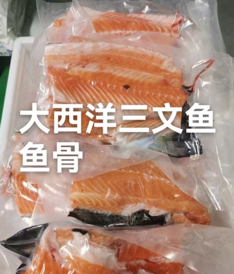 特价处理各类杂鱼各类边角料冷冻深海鱼类宠物食品饲料