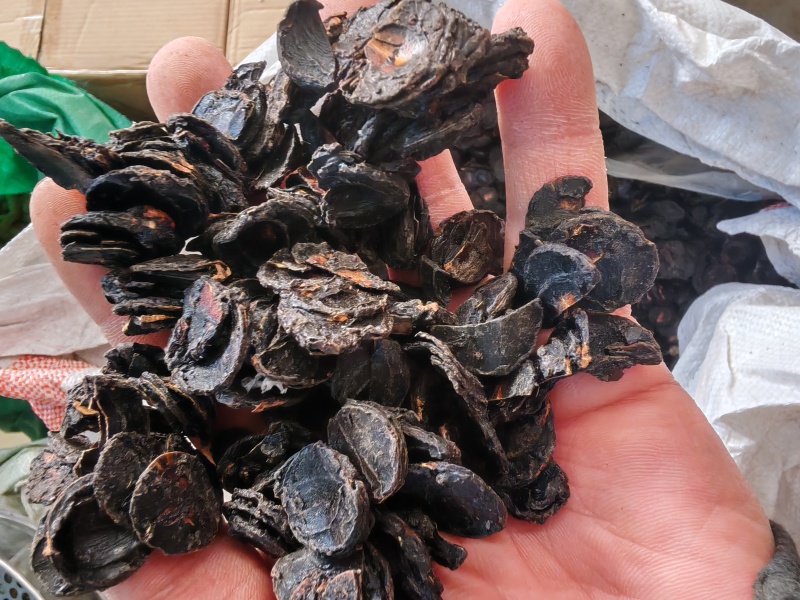 腊肠果片腊肠果果肉便秘果片大解果片大货批发