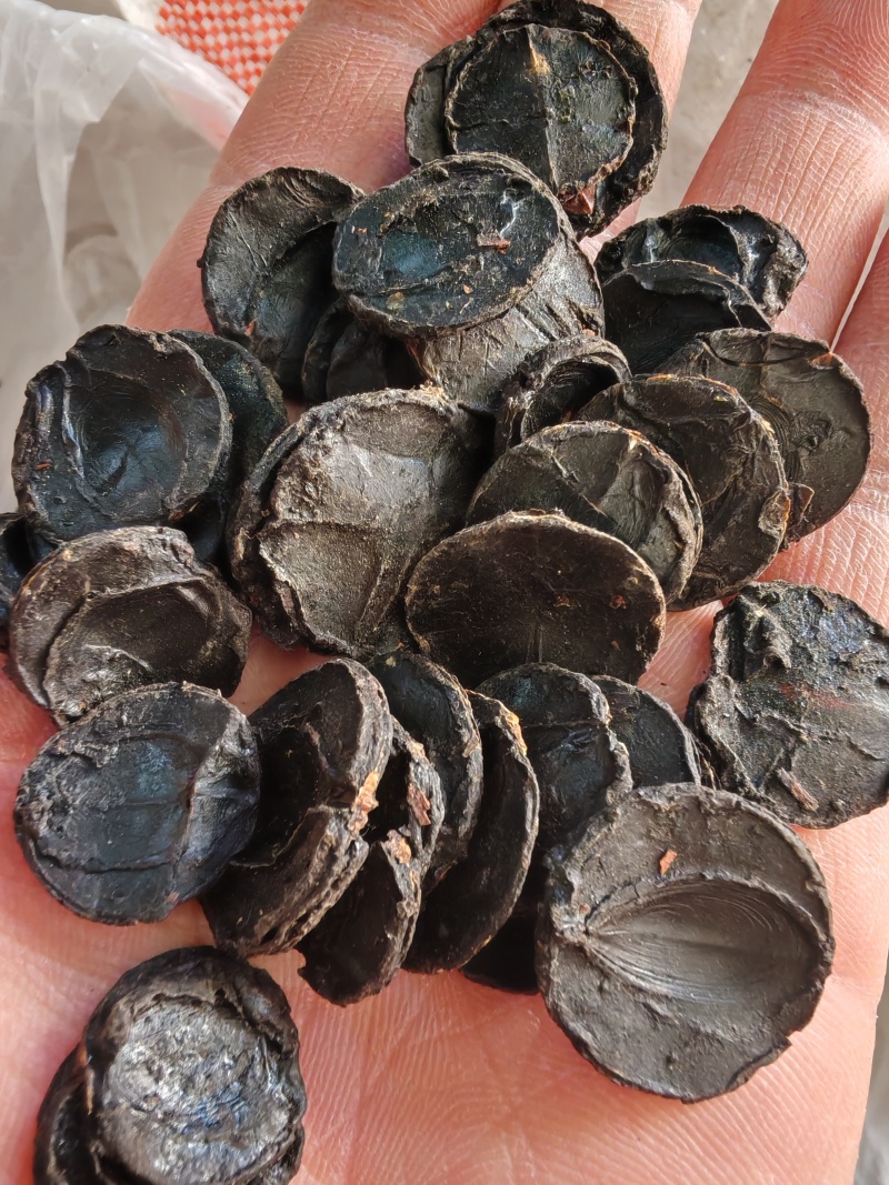 腊肠果片腊肠果果肉便秘果片大解果片大货批发