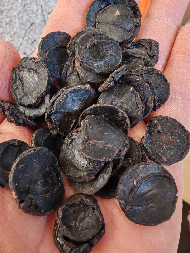 腊肠果片腊肠果果肉便秘果片大解果片大货批发