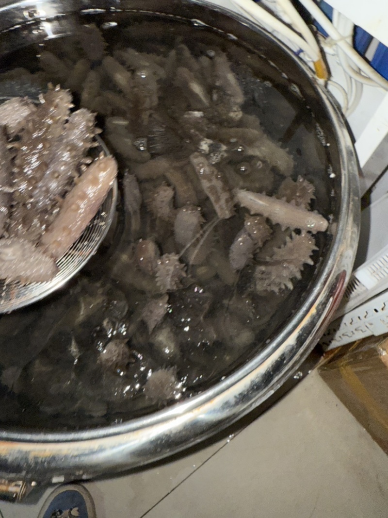 即食海参，一手货源，产地直发，诚信经营，可视频看货