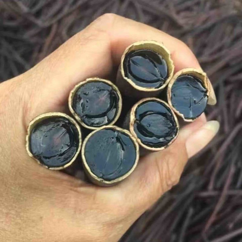 大解果/腊肠果