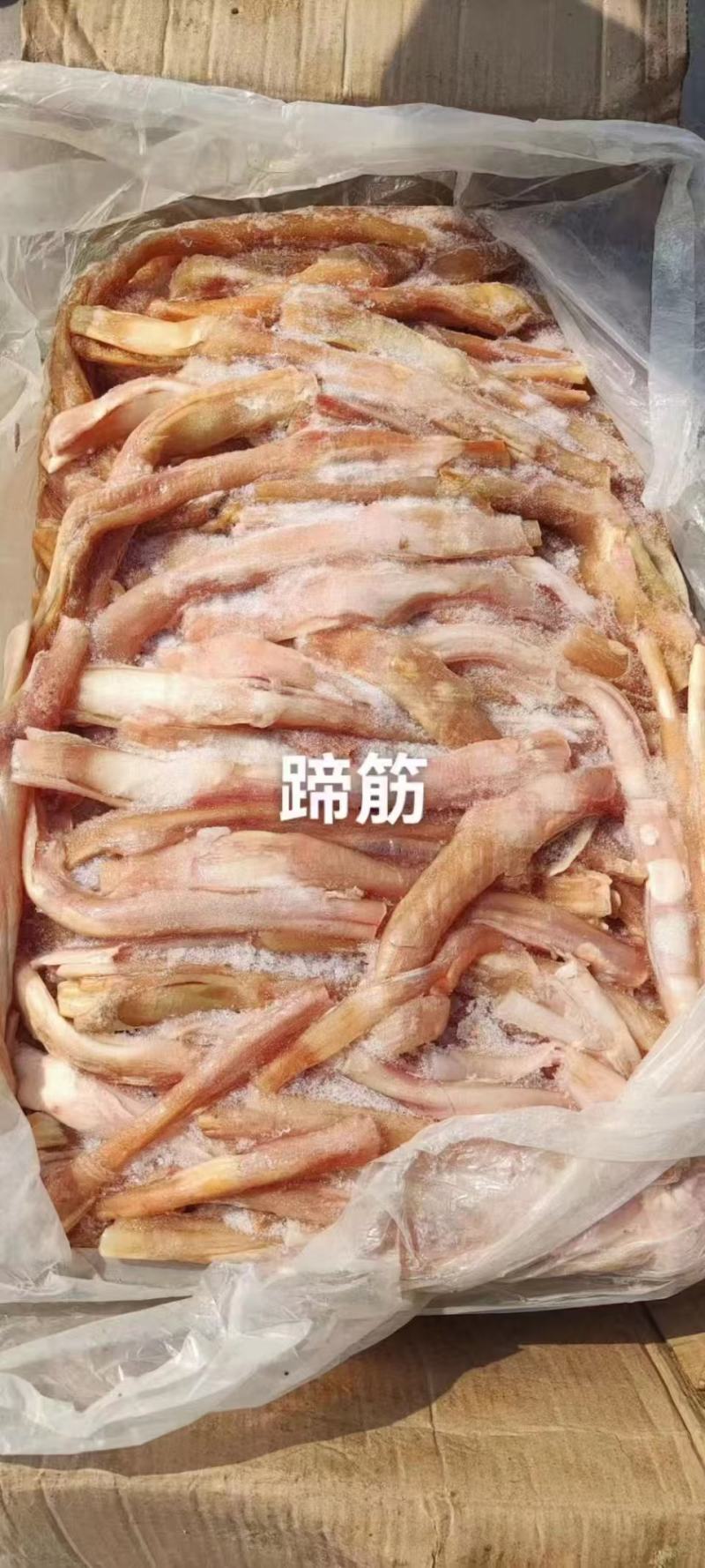 带骨马蹄筋