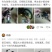 二八大杠自行车仿真复古摆件