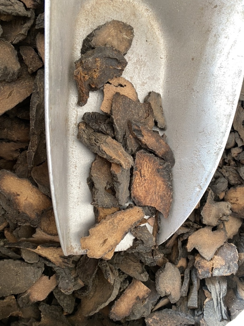 肉苁蓉硬大云产品实拍质量保证一件代发