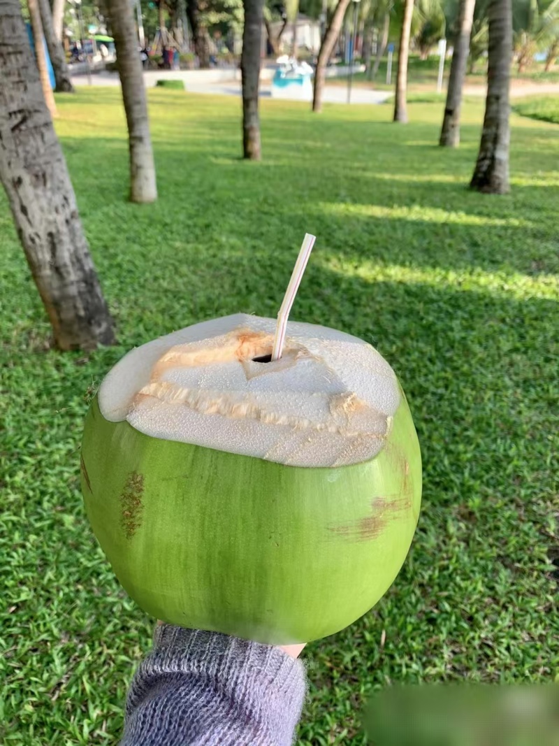 海南椰子大量上市，春季新品，口感清甜，