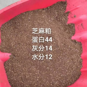 优质芝麻粕