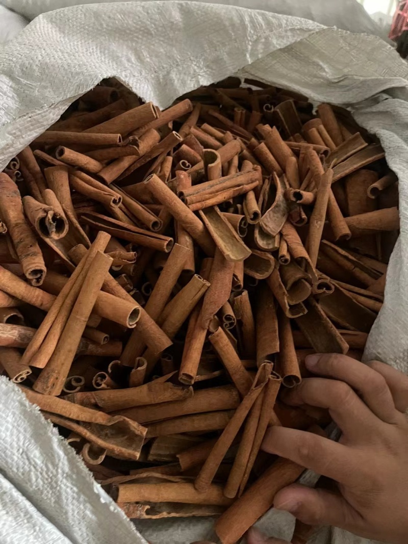 肉桂烟桂颜色好各种规格都有