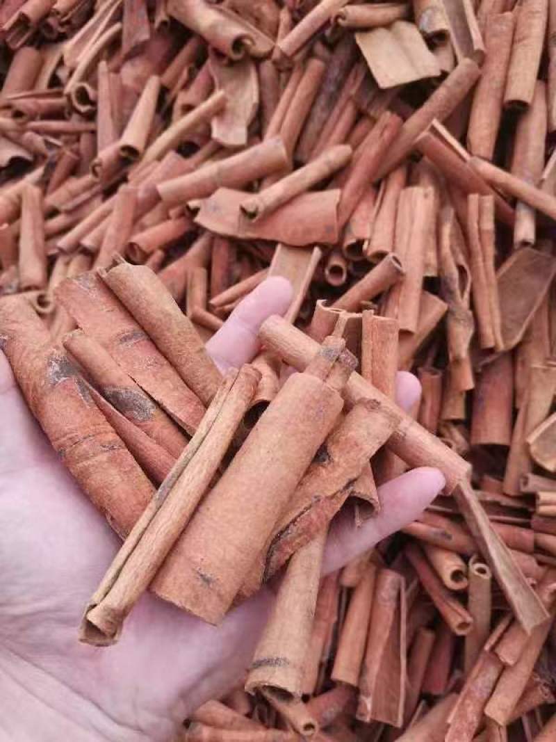 肉桂烟桂颜色好各种规格都有