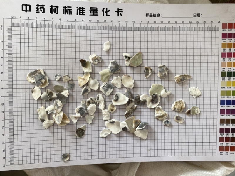 牡蛎壳生蚝壳一件代发产品实拍质量保证