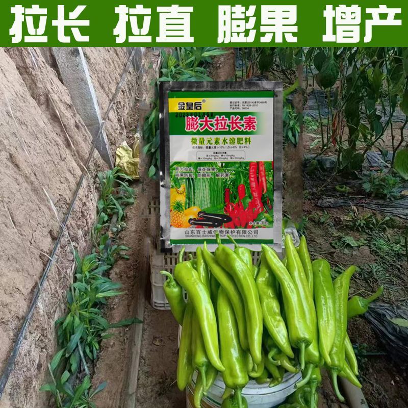 黄瓜辣椒豆角拉直膨大植物调节拉直作物拉长膨大素