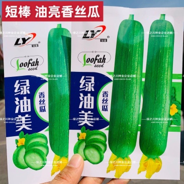 绿油美油丝瓜种子早熟杂交短棒油亮香丝瓜种子不黑汤油绿丝瓜