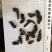 生地生地片无硫净货产品实拍质量保证