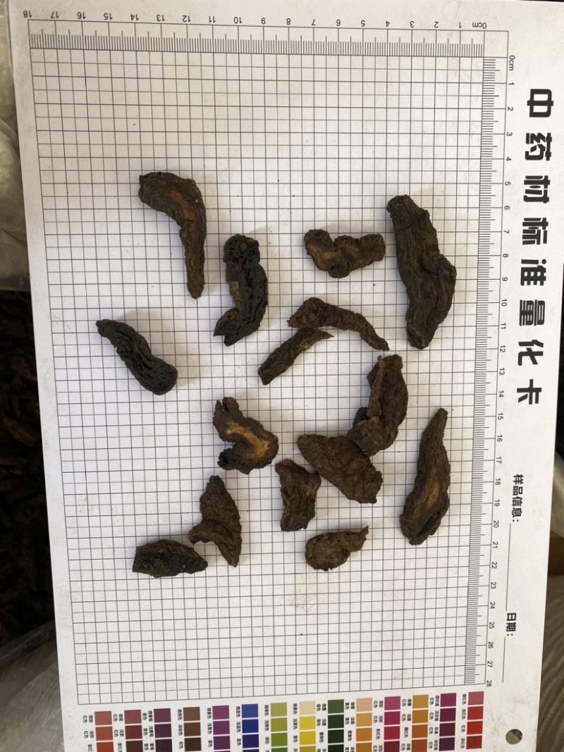生地生地片无硫净货产品实拍质量保证