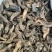 生地生地片无硫净货产品实拍质量保证