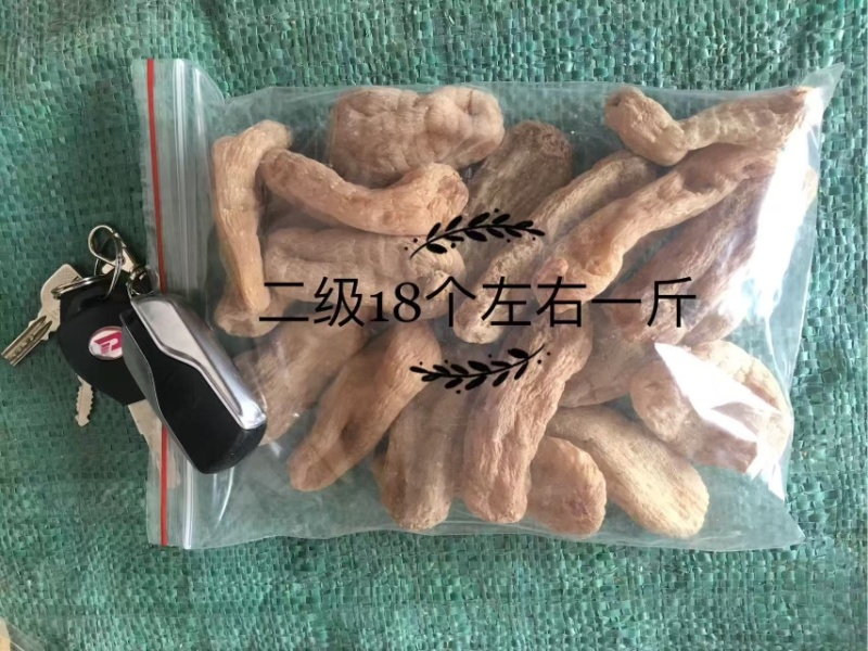 云南昭通小草坝干天麻，产地直发，批发一件代发