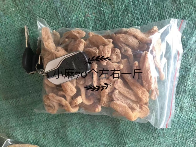 云南昭通小草坝干天麻，产地直发，批发一件代发