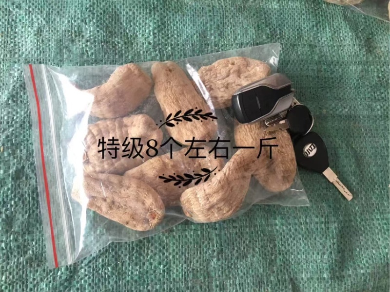 云南昭通小草坝干天麻，产地直发，批发一件代发