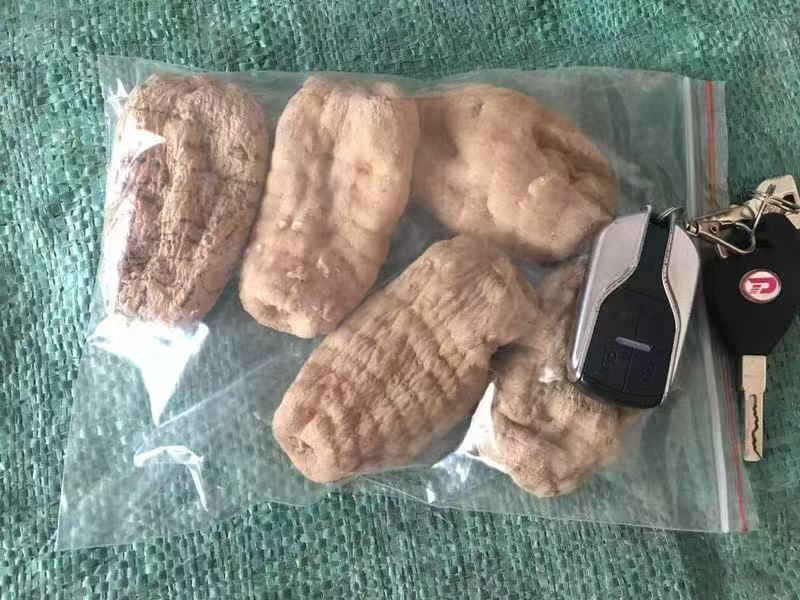云南昭通小草坝干天麻，产地直发，批发一件代发
