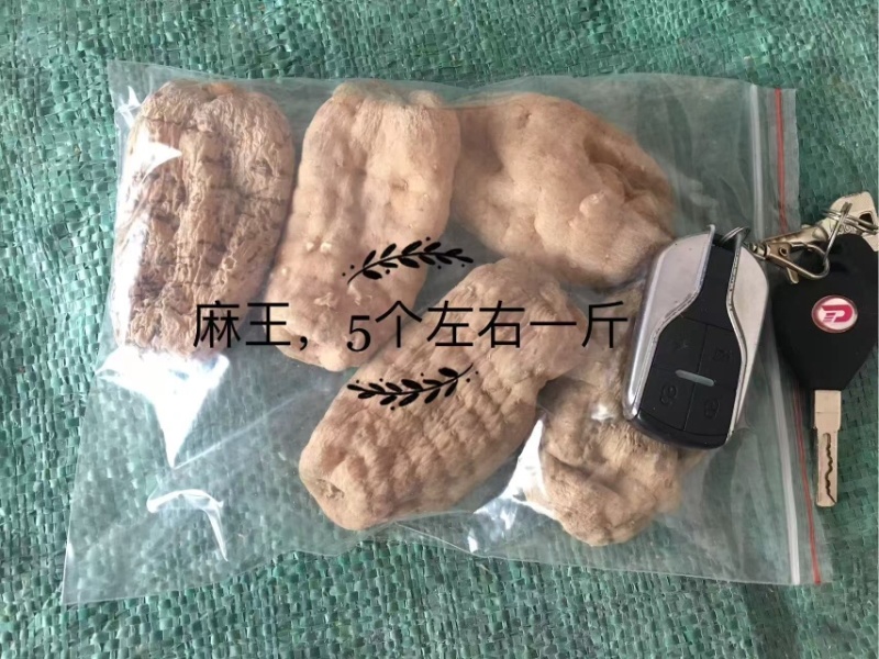 云南昭通小草坝干天麻，产地直发，批发一件代发