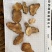 土茯苓粉质土茯苓干货无硫产品实拍质量保证