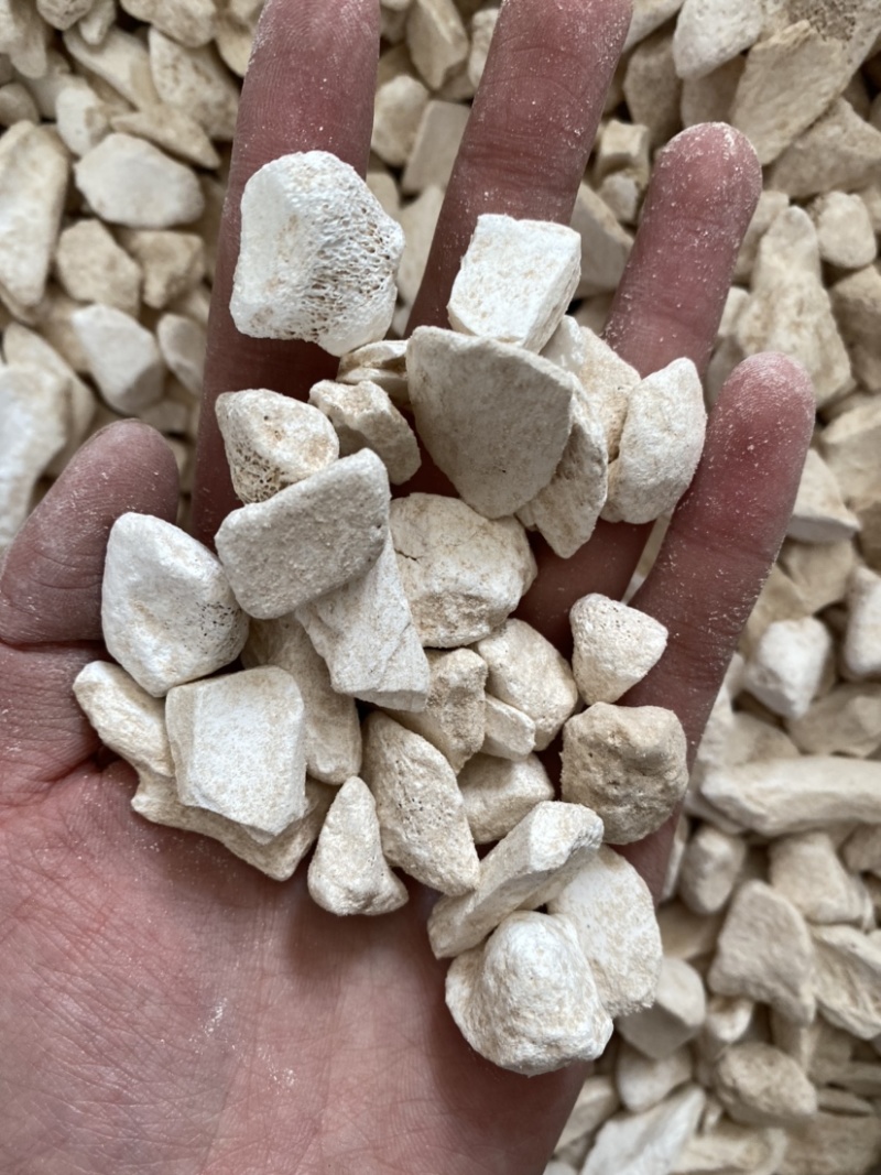 龙骨大颗粒水洗产品实拍质量保证
