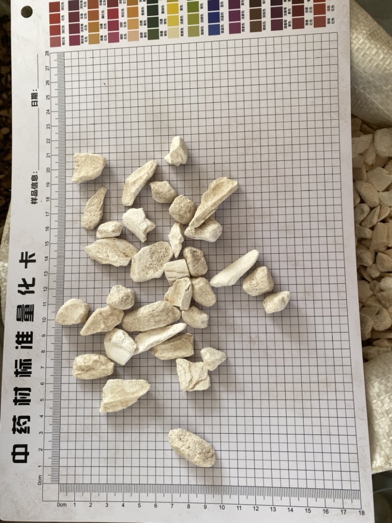 龙骨大颗粒水洗产品实拍质量保证