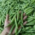 2025年湖北青豌豆豌豆荚长寿仁中豌11产地直发