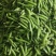 2025年湖北青豌豆白豌豆豌豆荚产地直发量大从优
