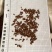 丹参无硫山东丹参产品实拍质量保证