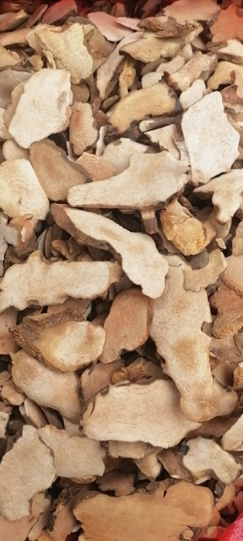 野生新鲜土茯苓一手货源直供价格美丽量大从优