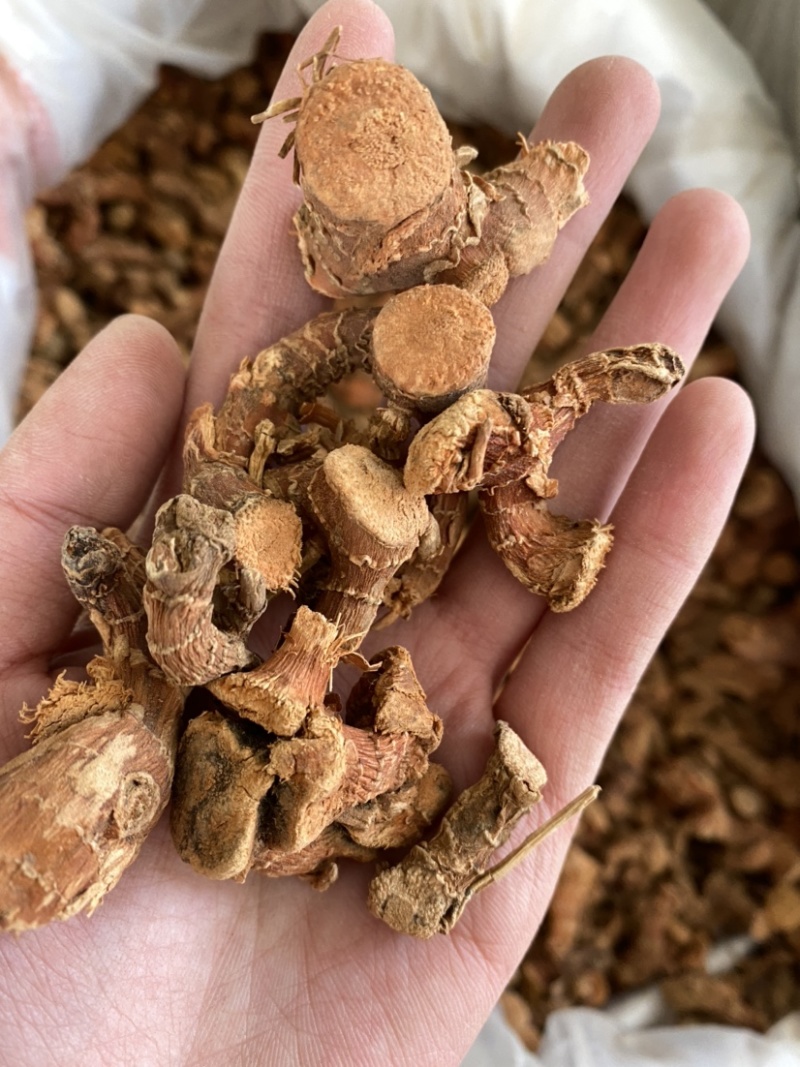 良姜个干货规格齐全产品实拍质量保证