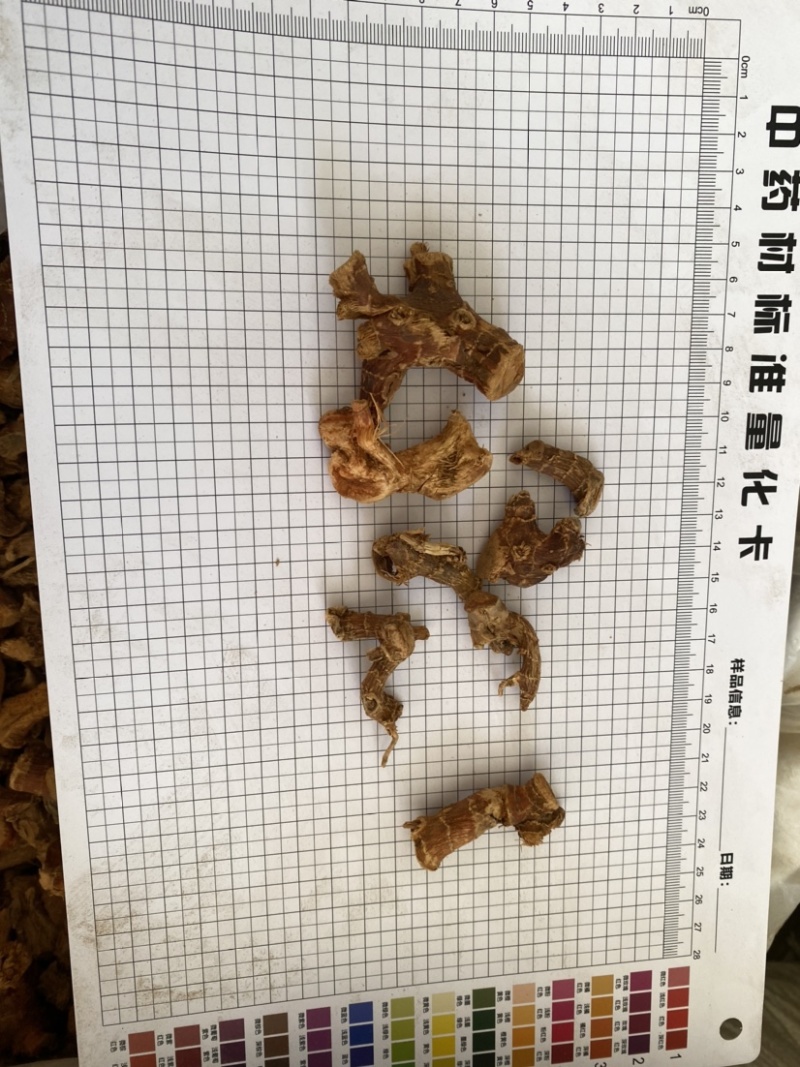 良姜个干货规格齐全产品实拍质量保证