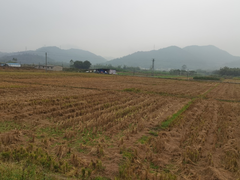 土地菜园