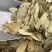 香叶香料新货颜色好产品实拍质量保证