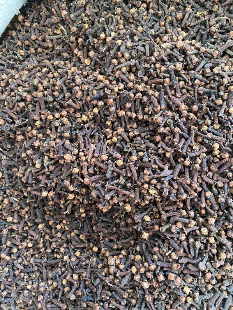 丁香干货丁香调料产品实拍质量保证