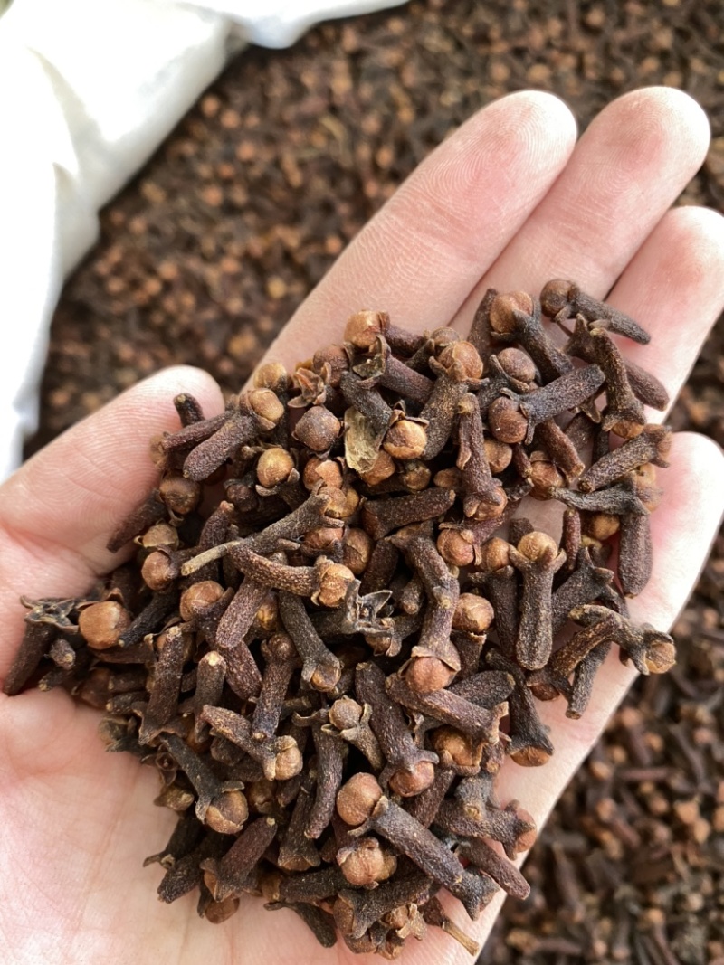 丁香干货丁香调料产品实拍质量保证