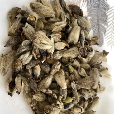辛夷花无硫干货产品实拍质量保证