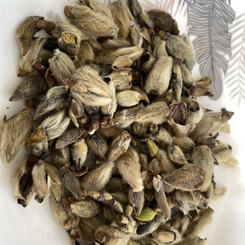 辛夷花无硫干货产品实拍质量保证