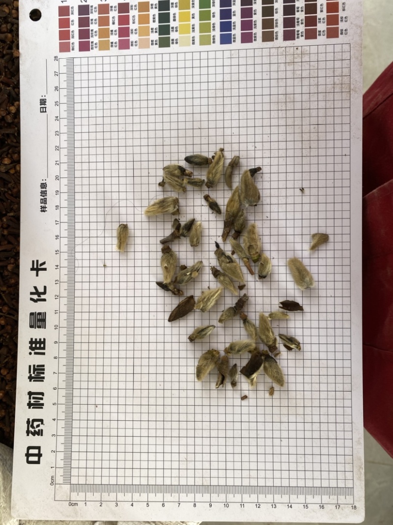 辛夷花无硫干货产品实拍质量保证