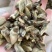 辛夷花无硫干货产品实拍质量保证