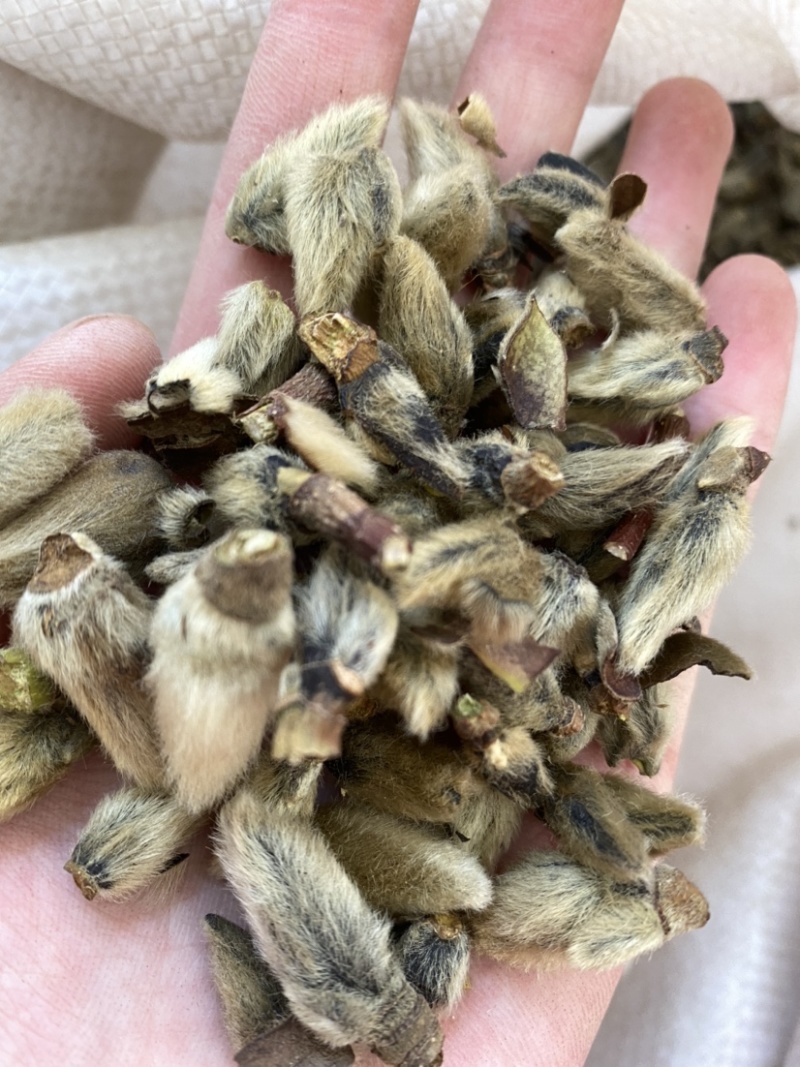 辛夷花无硫干货产品实拍质量保证